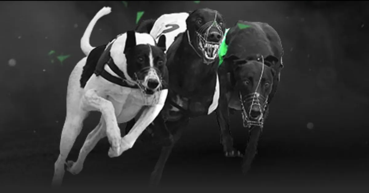 罗勇近,场大胜,大乐透期号,PG电子官网,PG电子试玩,PG电子模拟器,PG电子平台,PG电子下载