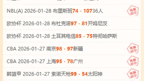 纽卡斯尔欲先租后买马杜埃凯，并密切关注库卢转会动向